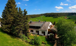 Carpediem Apartments Schönwald Im Schwarzwa